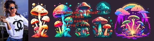 спиды Алексин