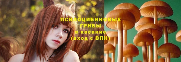 молекула духа Алзамай