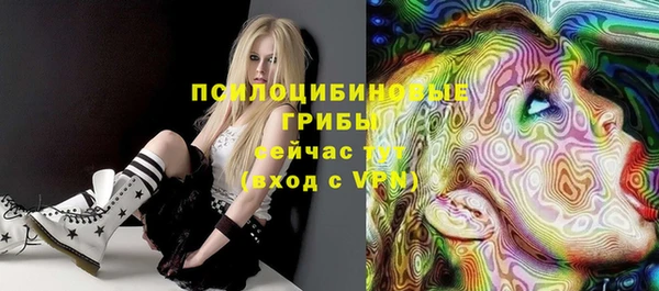 стафф Алексеевка