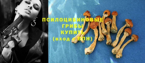 стафф Алексеевка