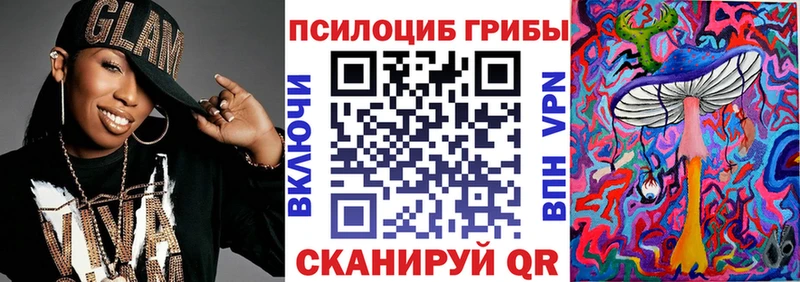 МЕГА   Чердынь  Псилоцибиновые грибы Psilocybe 